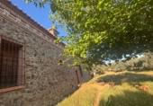 Chalet independiente con terreno en venta en la Ciudad Real, Malagón, ref: TR306959 foto