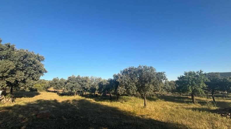 Ciudad Real - Malagón - 1000000m2