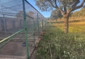 Chalet independiente con terreno en venta en la Ciudad Real, Malagón, ref: TR306959 foto
