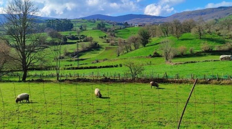 Cantabria - Corvera - 3306m2
