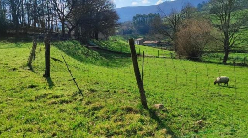 Cantabria - Corvera - 3306m2