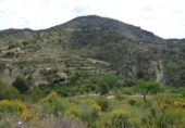 Non-developable land for sale on España, Torremanzanas, ref: TR410163 photo