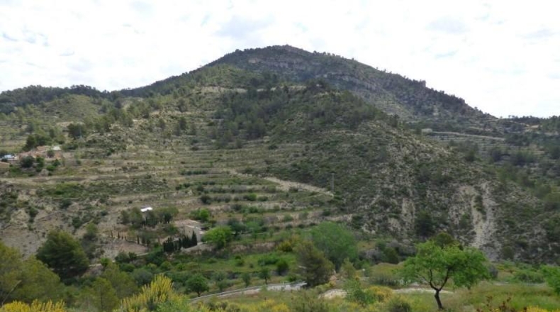 Alicante - la Torre de les Maçanes - 20612m2
