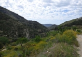 Non-developable land for sale on España, Torremanzanas, ref: TR410163 photo