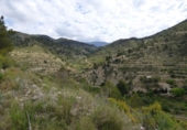 Non-developable land for sale on España, Torremanzanas, ref: TR410163 photo