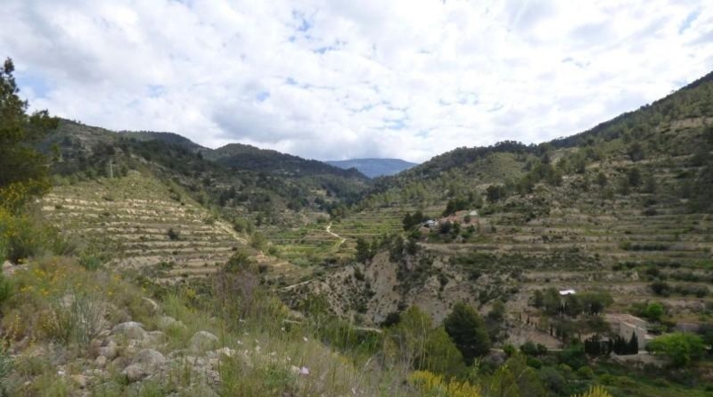 Alicante - la Torre de les Maçanes - 20612m2