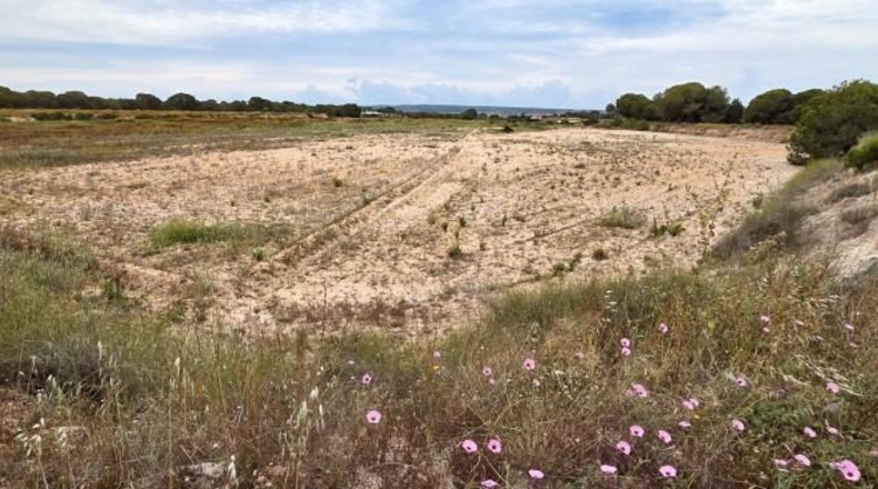 Alicante - Elche - 10162m2