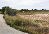 Terreny no urbanitzable en venda a la España, Elx, ref.: TR410164 foto