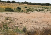 Terreny no urbanitzable en venda a la España, Elx, ref.: TR410164 foto
