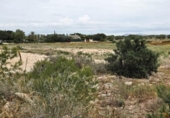 Terreny no urbanitzable en venda a la España, Elx, ref.: TR410164 foto