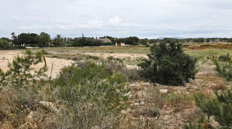 Alicante - Elche - 10162m2