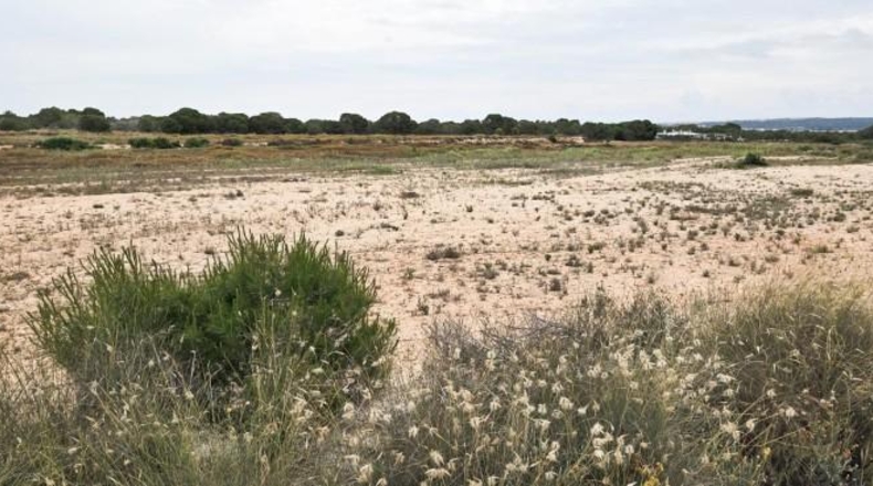 Alicante - Elche - 10162m2