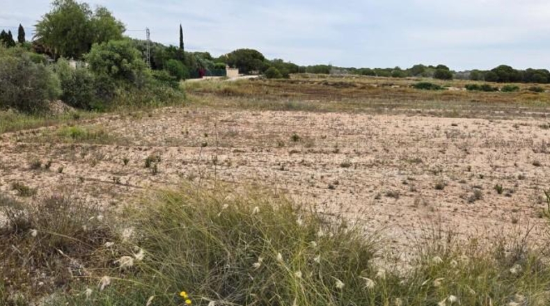 Alicante - Elche - 10162m2