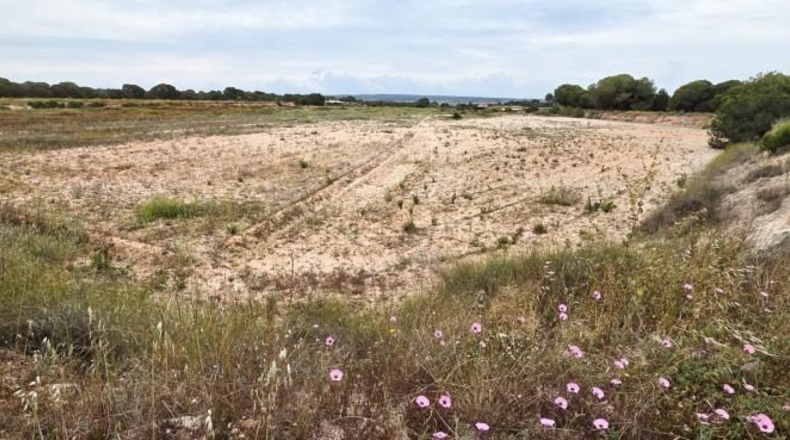 Alicante - Elche - 10162m2