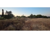 Non-developable land for sale on España, Villablanca, ref: TR410166 photo