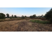 Non-developable land for sale on España, Villablanca, ref: TR410166 photo