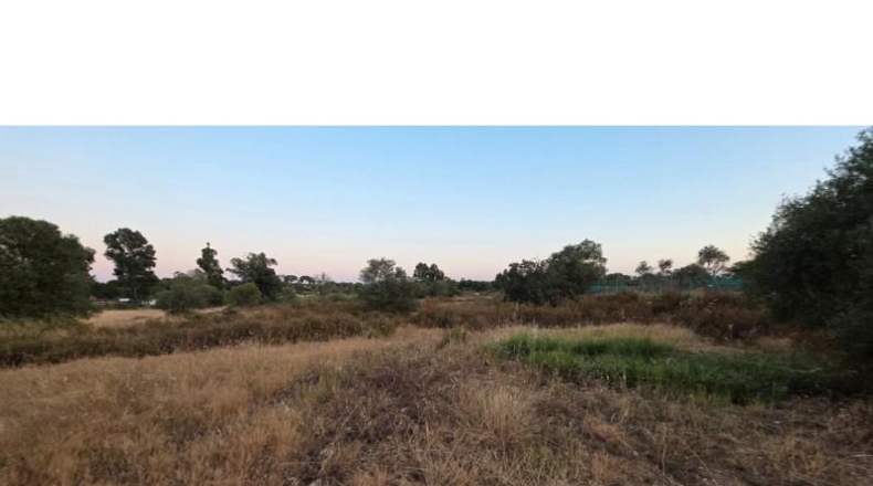 Huelva - Villablanca - 11199m2