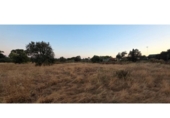 Non-developable land for sale on España, Villablanca, ref: TR410166 photo