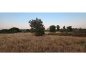 Non-developable land for sale on España, Villablanca, ref: TR410166 photo