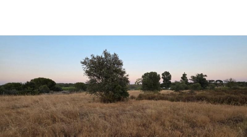 Huelva - Villablanca - 11199m2