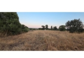 Non-developable land for sale on España, Villablanca, ref: TR410166 photo