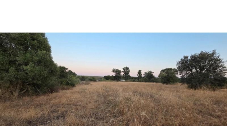 Huelva - Villablanca - 11199m2