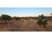 Non-developable land for sale on España, Villablanca, ref: TR410166 photo