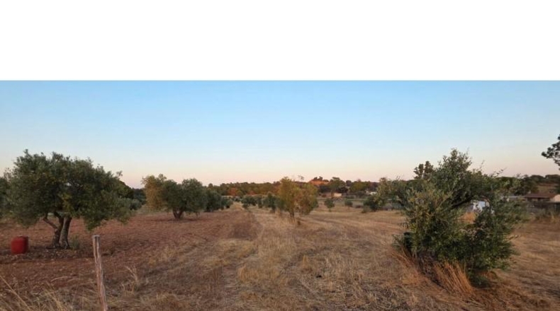 Huelva - Villablanca - 11199m2
