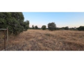 Non-developable land for sale on España, Villablanca, ref: TR410166 photo