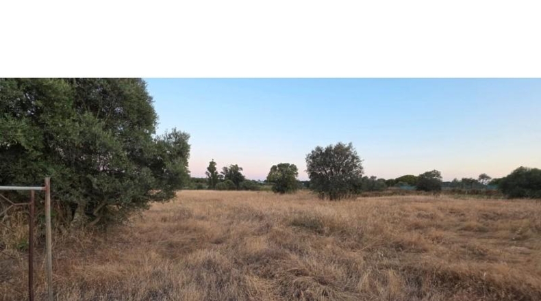 Huelva - Villablanca - 11199m2