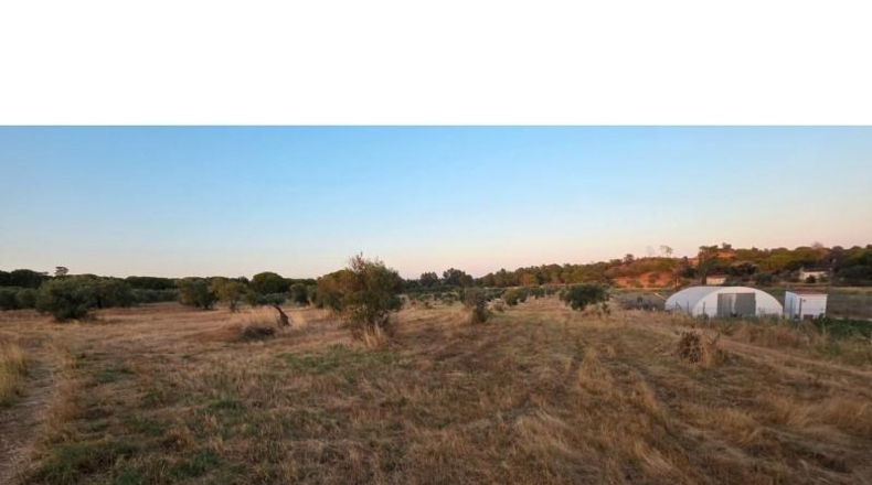 Huelva - Villablanca - 11199m2