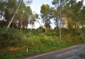 Urban land for sale on España, Olivella, ref: TR410186 photo