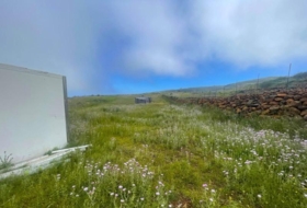 Ingenio 20000&nbsp;m² 