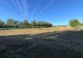 Finca rústica en venda a la España, Ponferrada, ref.: TR410204 foto
