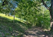 Detached villa with land for sale on España, Selaya, ref: TR410209 photo