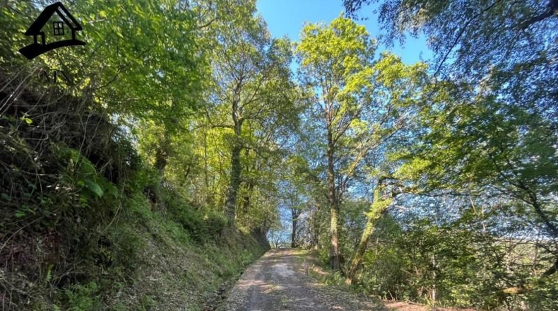 Cantabria - Selaya - 18982m2