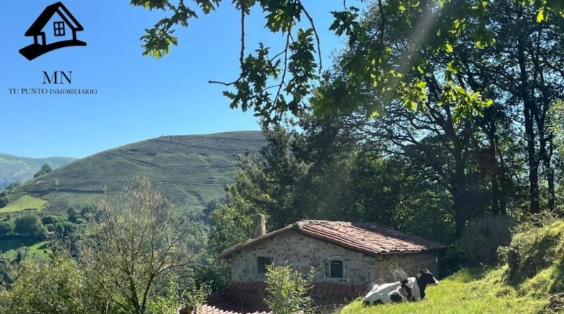 Cantabria - Selaya - 18982m2