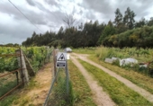 Chalet independiente con terreno en venta en la España, Leiro, ref: TR410208 foto