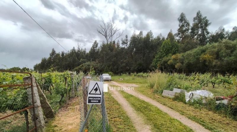 Orense - Leiro - 768m2