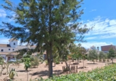 Sòl urbà en venda a la España, Sanlúcar de Barrameda, ref.: TR410234 foto