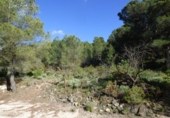 Xalet independent amb terreny en venda a la España, la Torre de les Maçanes, ref.: TR410243 foto