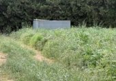 Detached villa with land for sale on España, Camarles, ref: TR410246 photo