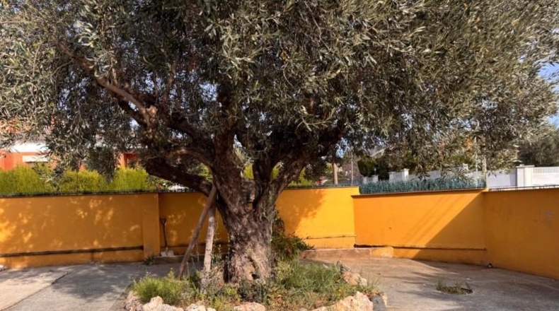 Барселона - Sant Pere de Vilamajor - 433m2