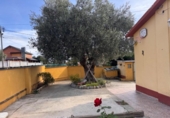 Chalet independiente con terreno en venta en la España, Sant Pere de Vilamajor, ref: TR410250 foto