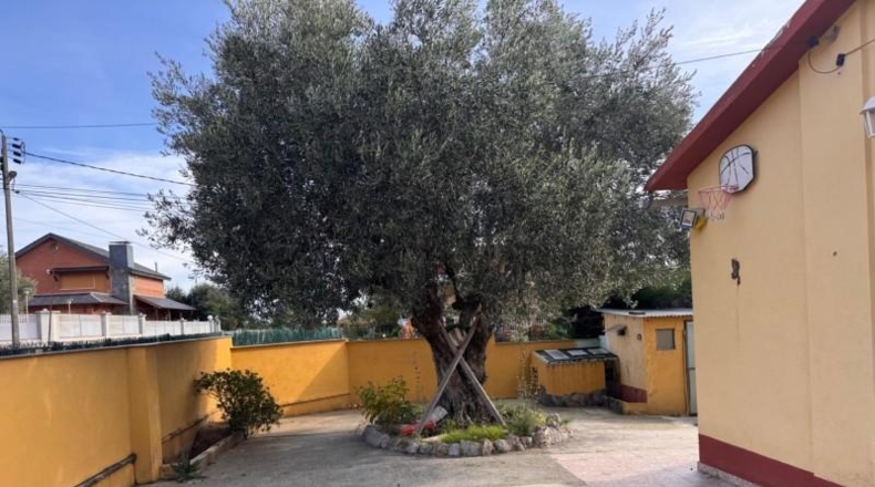 Барселона - Sant Pere de Vilamajor - 433m2