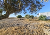 Xalet independent amb terreny en venda a la España, Chiclana de la Frontera, ref.: TR410256 foto