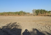 Xalet independent amb terreny en venda a la España, Chiclana de la Frontera, ref.: TR410256 foto