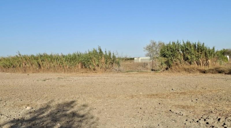 Cadiz - Chiclana de la Frontera - 9600m2