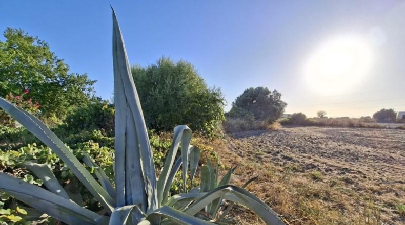 Cadiz - Chiclana de la Frontera - 9600m2