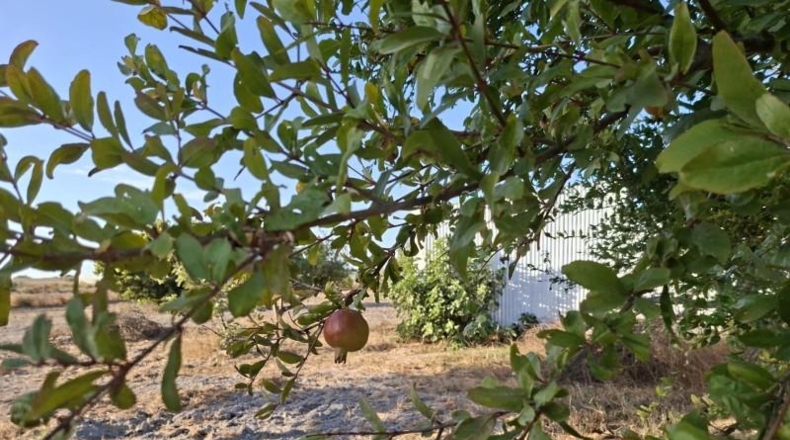 Cadiz - Chiclana de la Frontera - 9600m2
